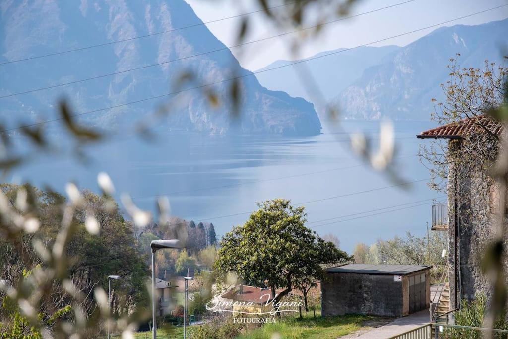 Ferienwohnung Il Giardino Di Laura Costa Volpino Exterior foto